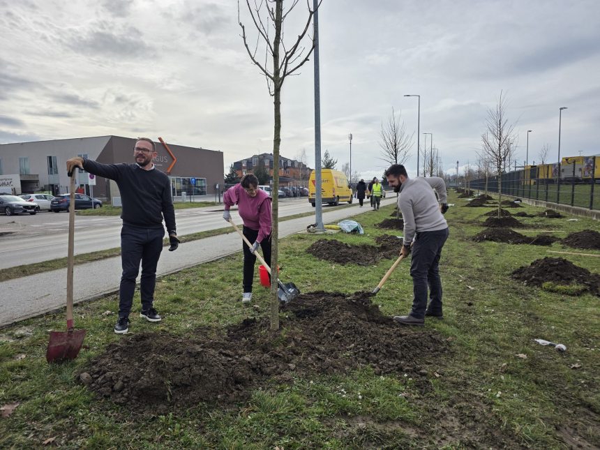 Velika Gorica dobiva nove urbane šume: Cilj je posaditi 4000 stabala uz pomoć EU fondova 1
