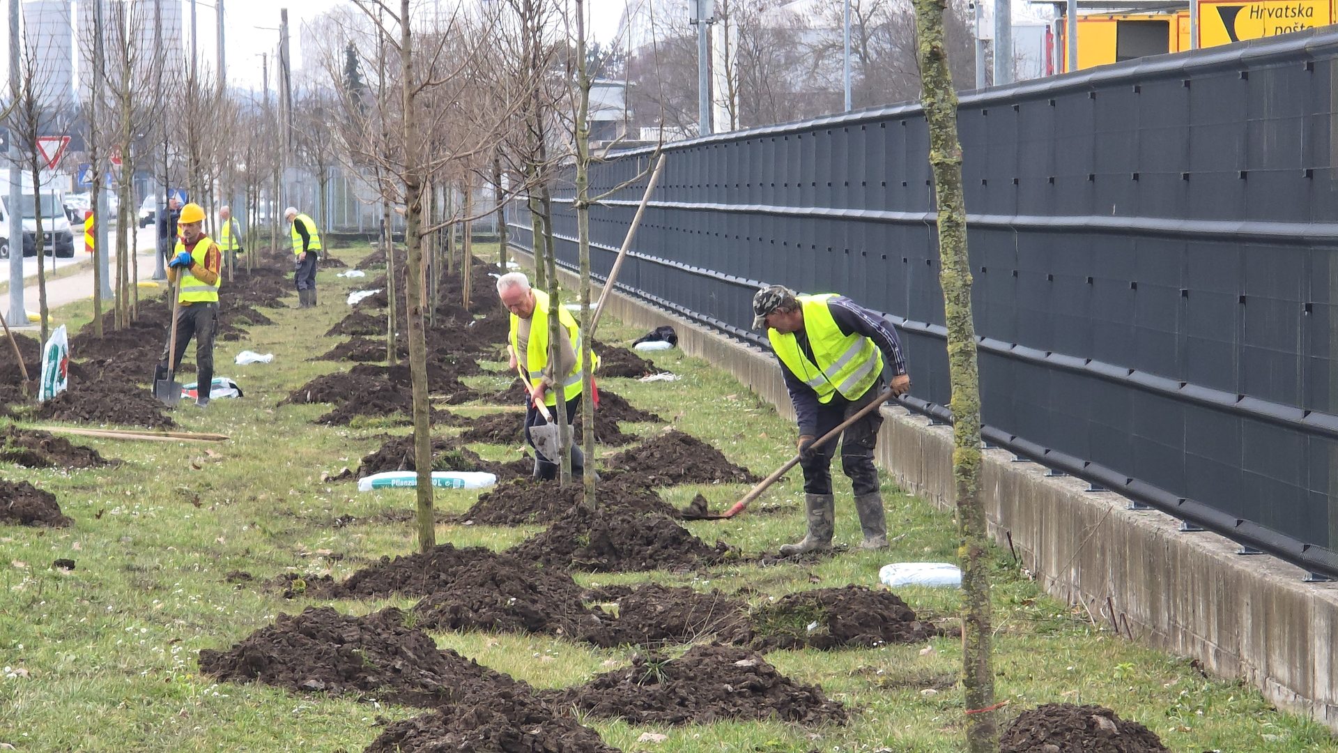 Velika Gorica dobiva nove urbane šume: Cilj je posaditi 4000 stabala uz pomoć EU fondova 4