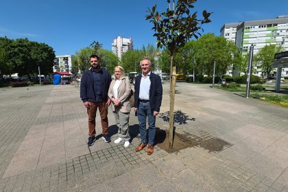 Velika akcija ozelenjavanja Velike Gorice: Nove magnolije krase Trg Stjepana Radića 1