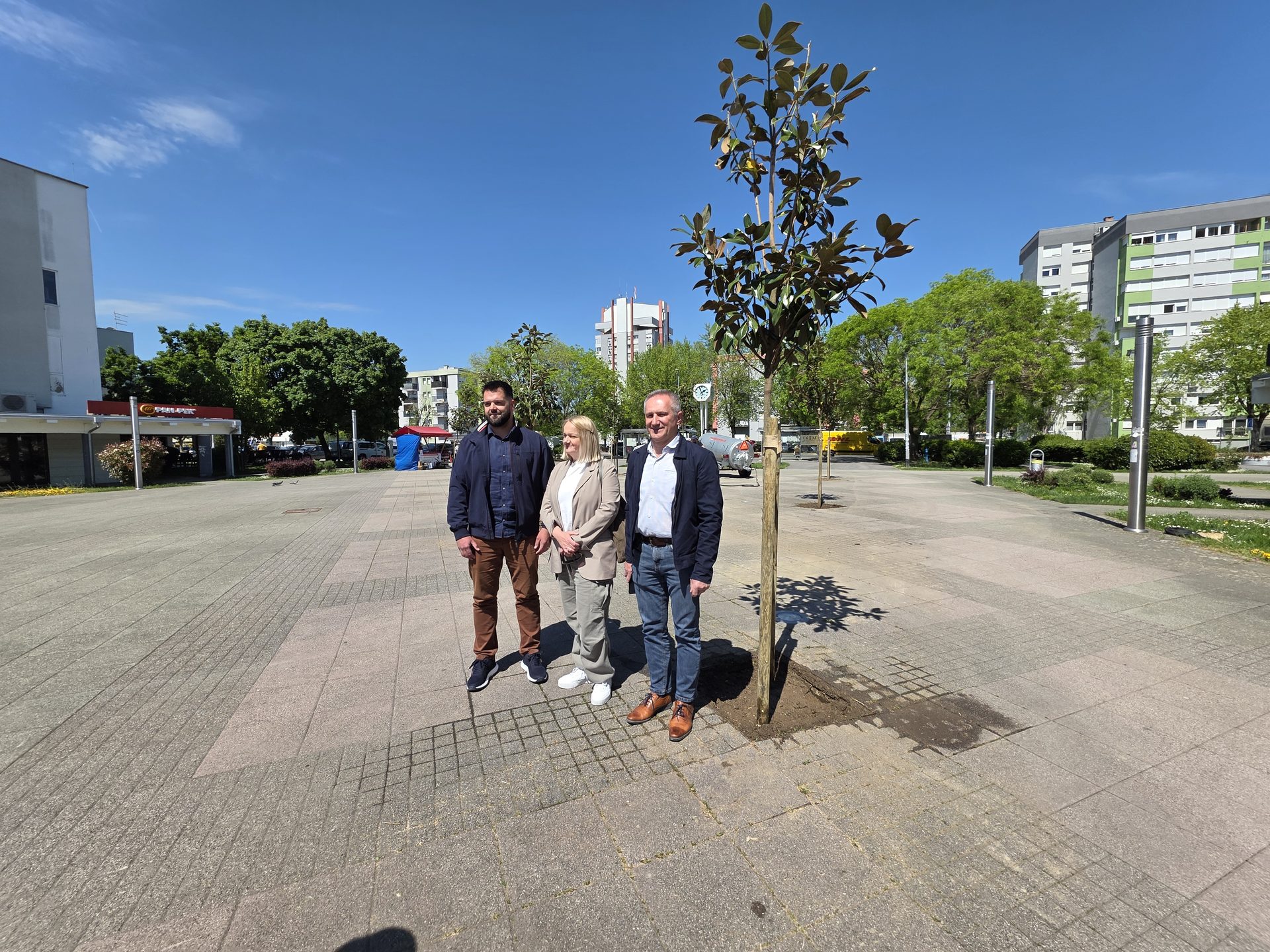 Velika akcija ozelenjavanja Velike Gorice: Nove magnolije krase Trg Stjepana Radića 4