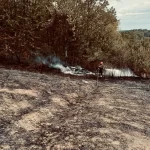 Vatrogasac s crijevom gasi požar na otvorenom u Novom Brdu.