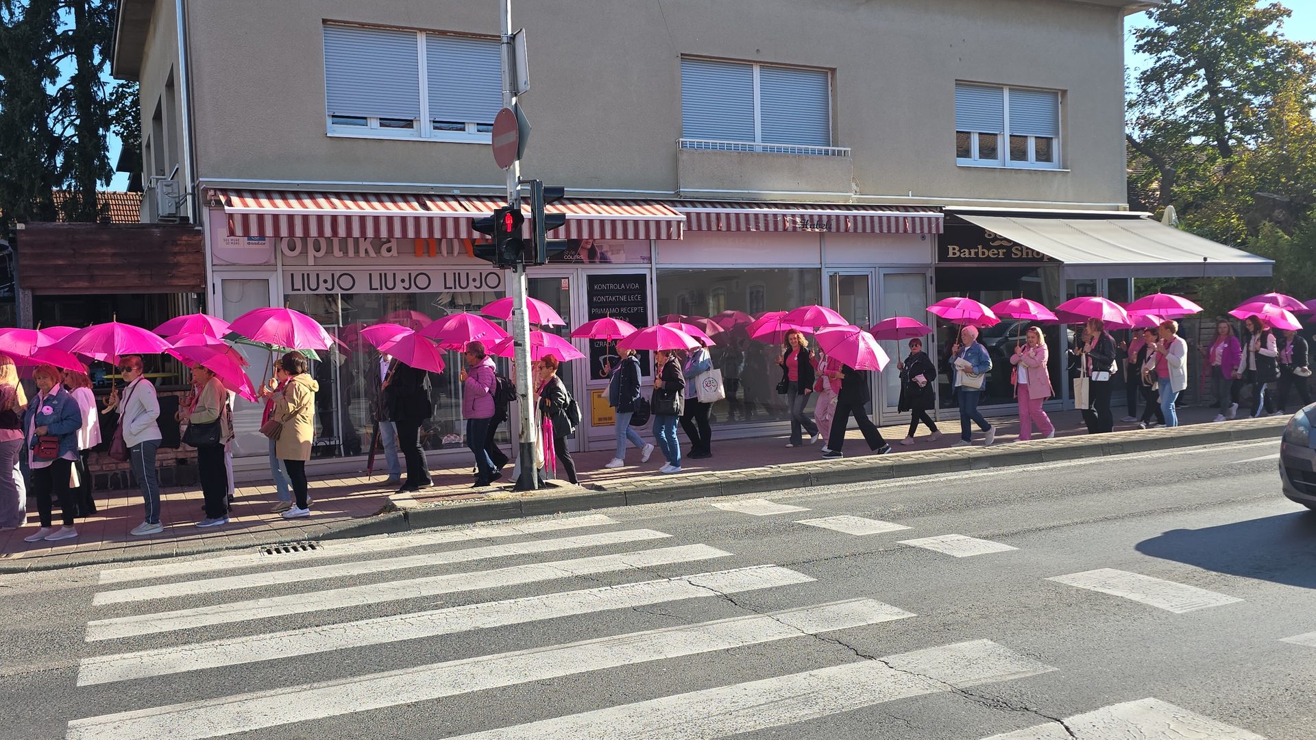 Velika Gorica obilježila Dan ružičaste vrpce: Šetnjom i ružičastim kišobranima poslana snažna poruka o prevenciji 4