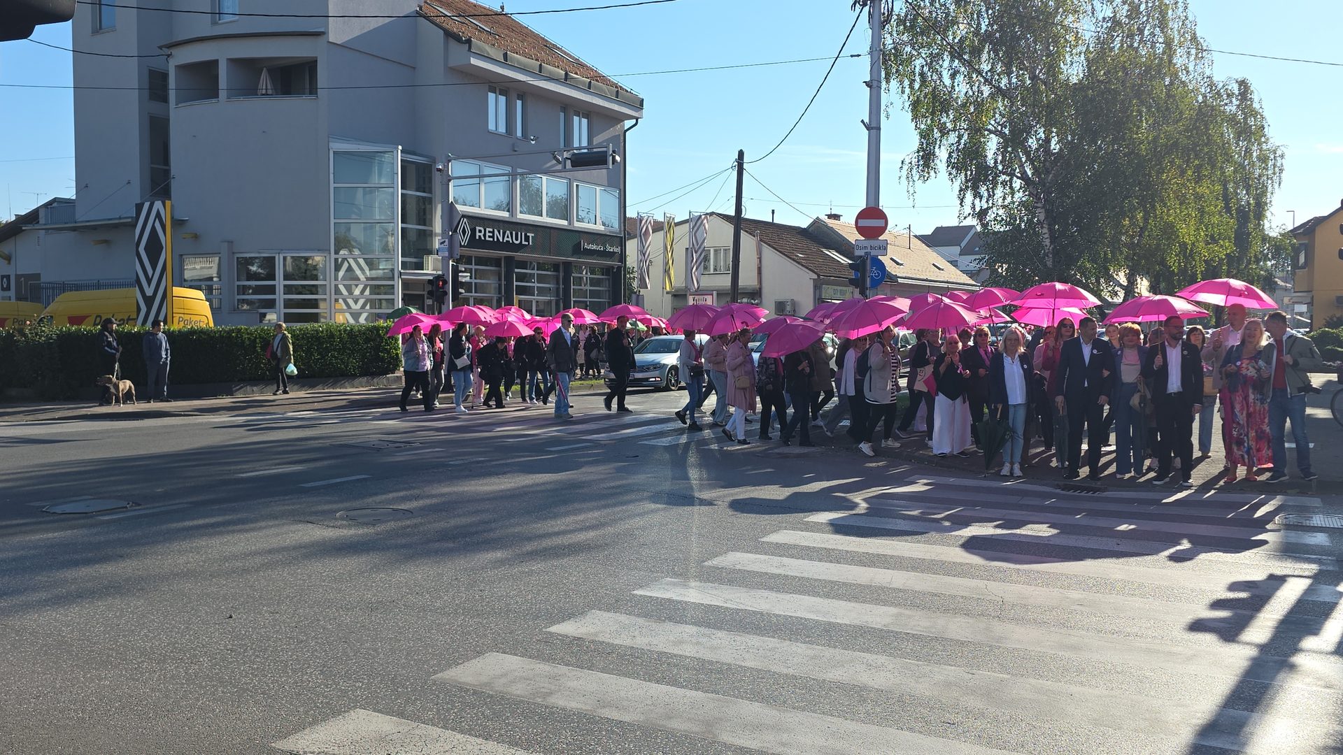 Velika Gorica obilježila Dan ružičaste vrpce: Šetnjom i ružičastim kišobranima poslana snažna poruka o prevenciji 5