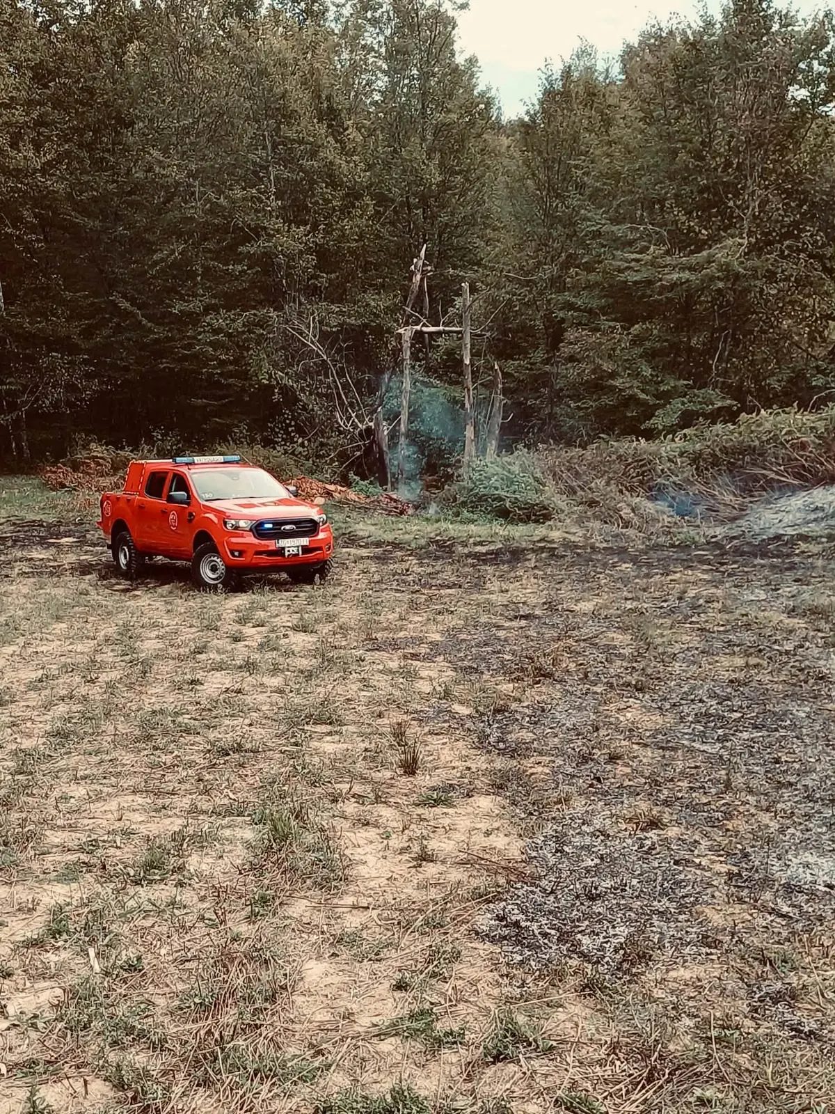 Crveni vatrogasni pick-up na opožarenoj površini uz drveće u Novom Brdu.